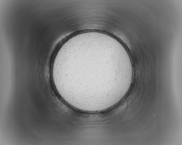 X0000111490979200908041139