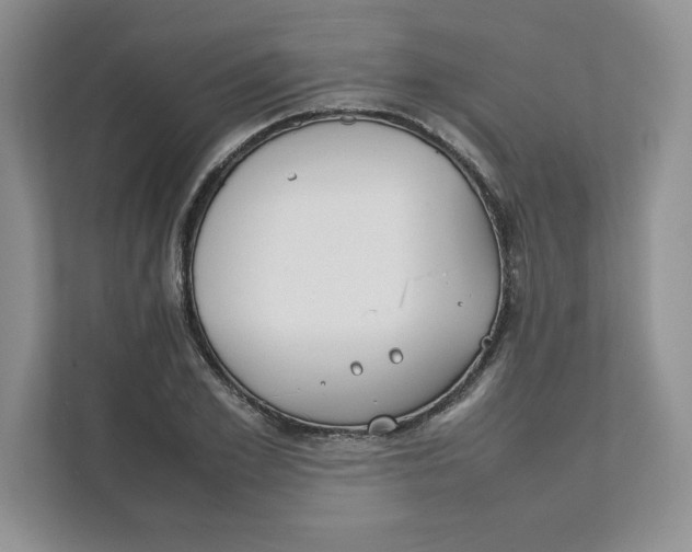 X0000111490981200908041139