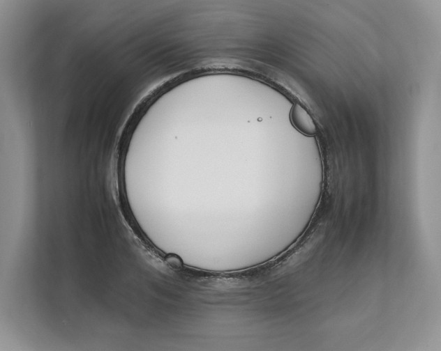 X0000111490984200908041139