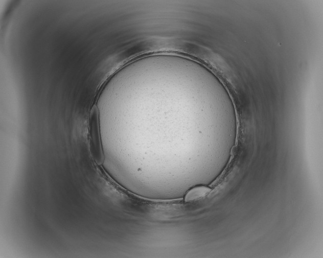 X0000111490985200908041139