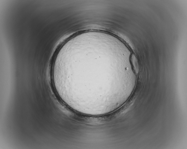 X0000111490987200908041138