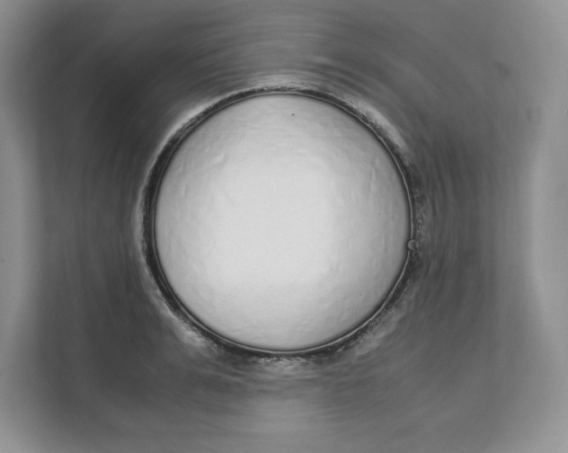 X0000111490991200908041138
