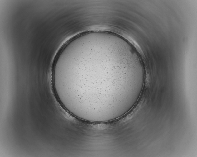 X0000111490992200908041138