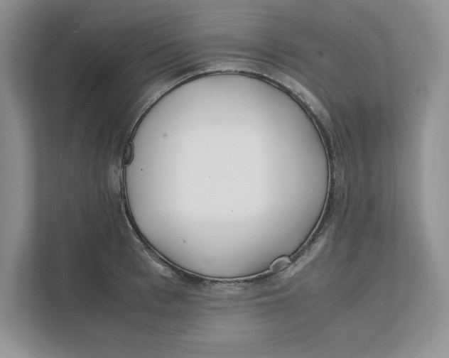 X0000111490993200908041138