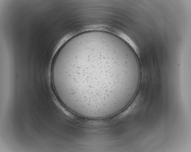 X0000111490994200908041138