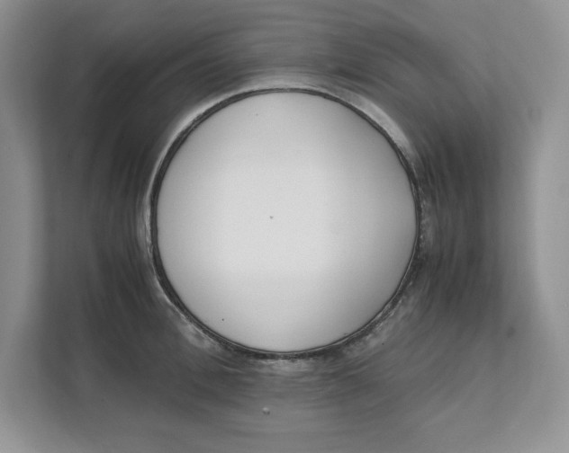 X0000111490996200908041138
