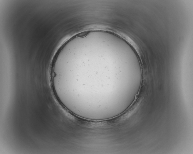 X0000111490997200908041138