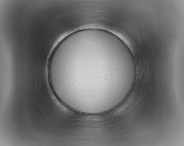 X0000111490998200908041138