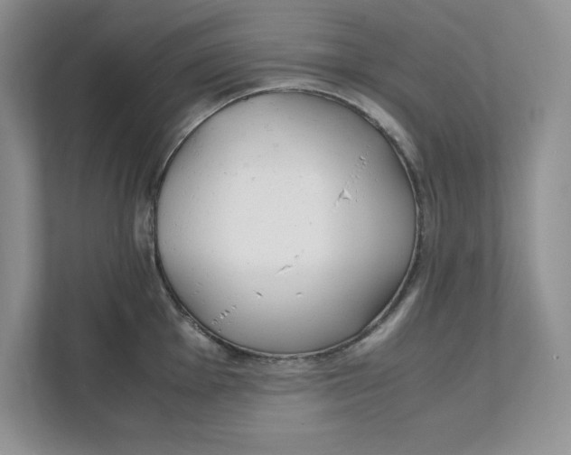 X0000111491001200908041138