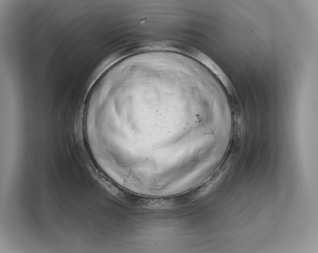 X0000111491002200908041138