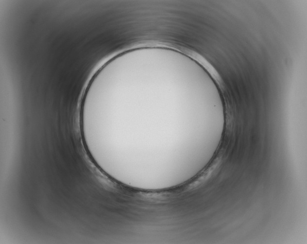 X0000111491004200908041138