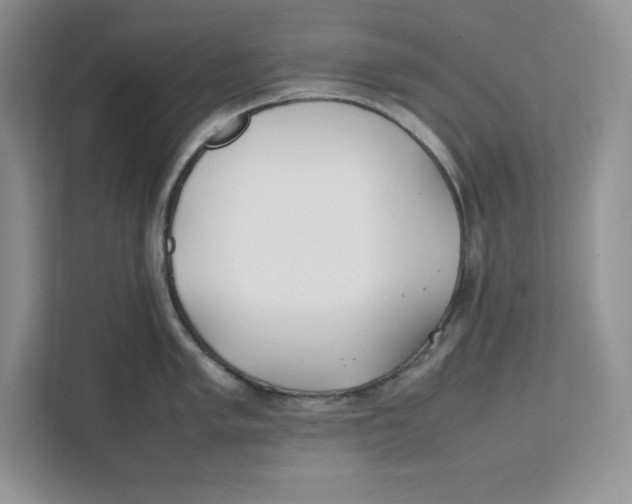 X0000111491005200908041138