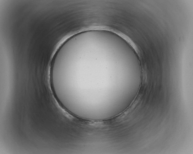 X0000111491006200908041138