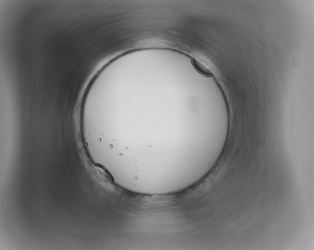 X0000111491008200908041138