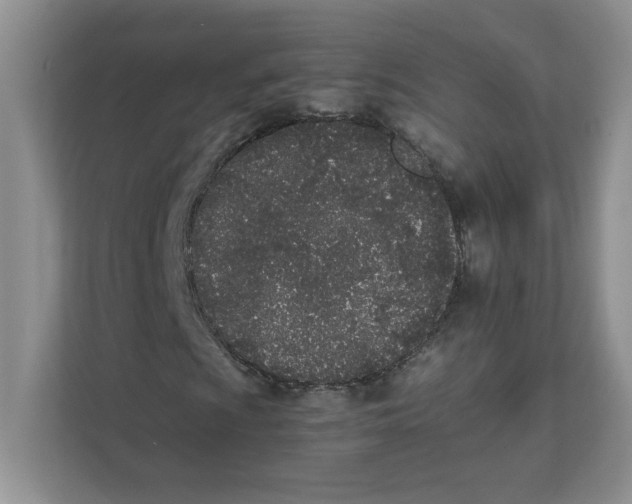 X0000111491009200908041138