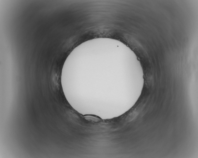 X0000111491010200908041138