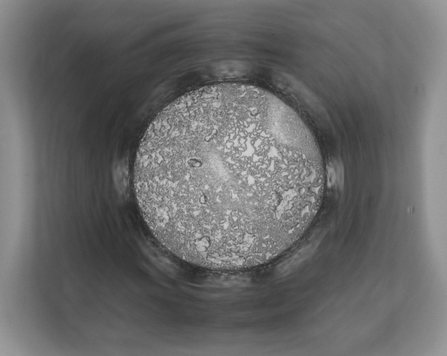 X0000111491011200908041138