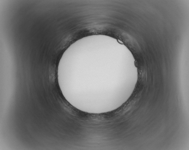 X0000111491012200908041138