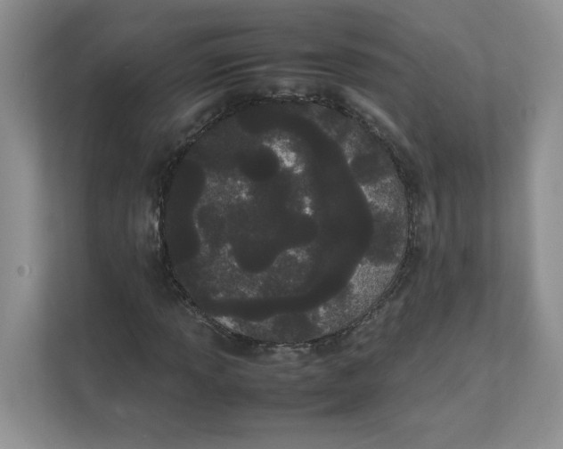 X0000111491013200908041138