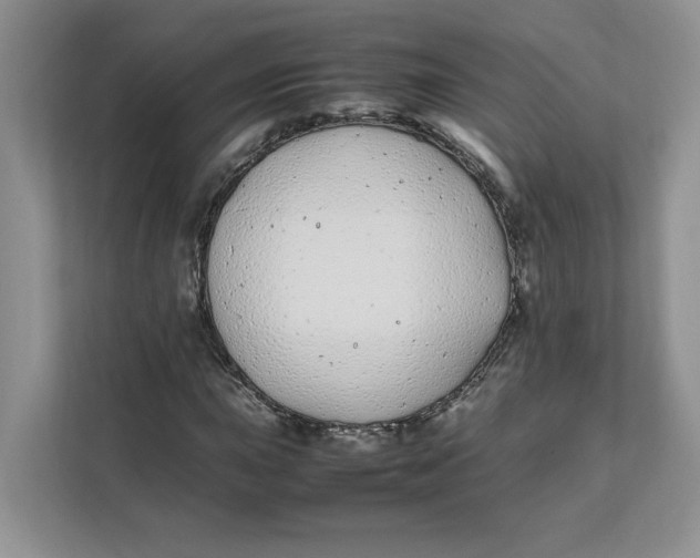 X0000111491015200908041138