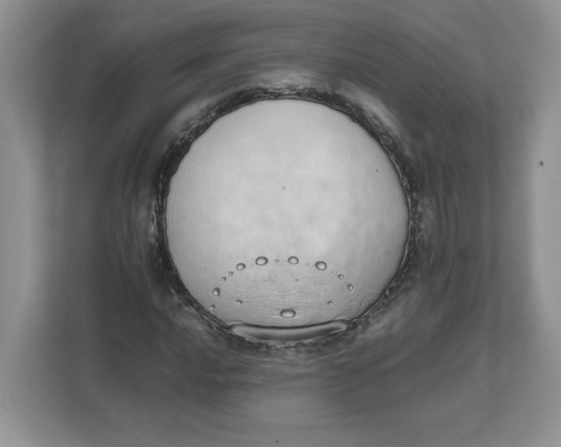 X0000111491016200908041138