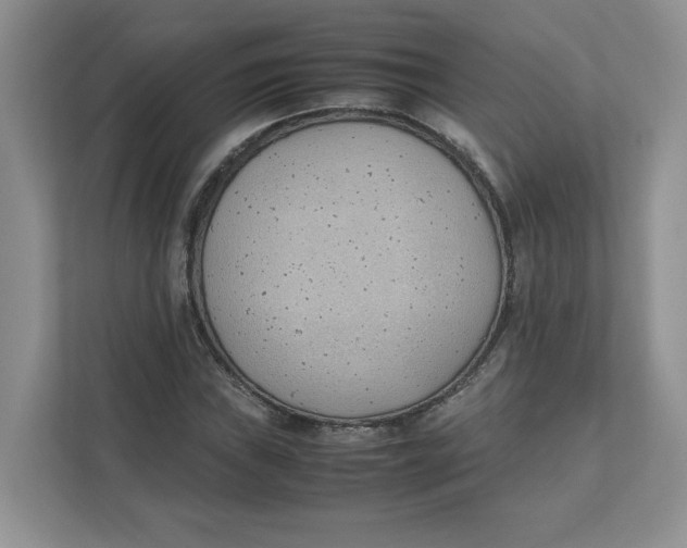 X0000111491019200908041138