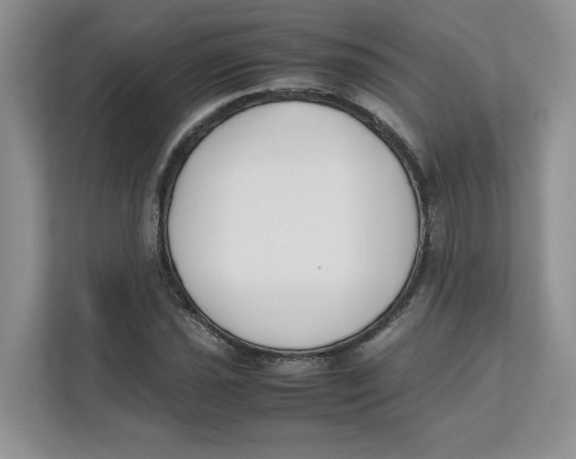 X0000111491021200908041138