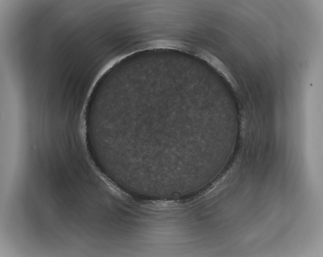 X0000111491024200908041138