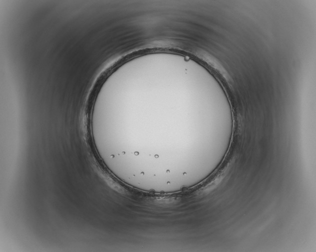 X0000111491029200908041138
