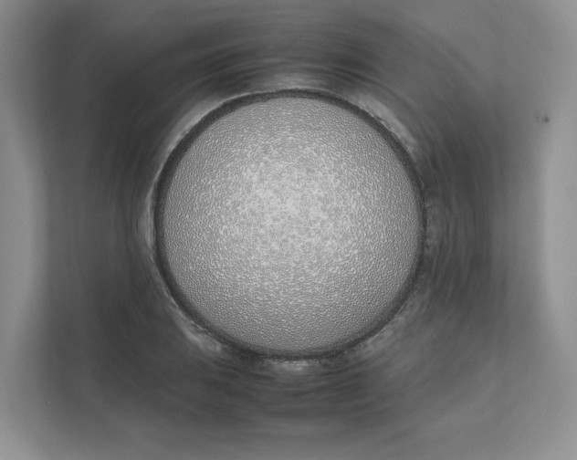 X0000111491031200908041138