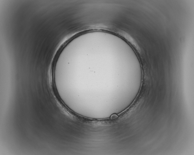 X0000111491032200908041138
