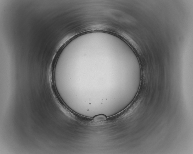 X0000111491034200908041138