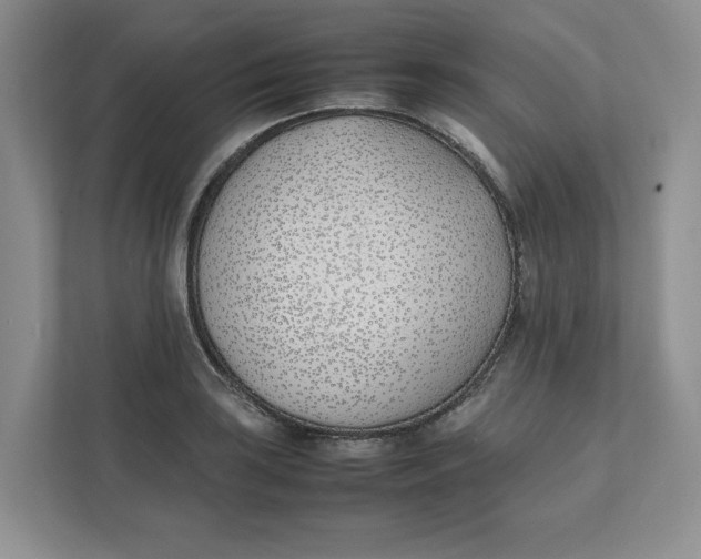 X0000111491035200908041138