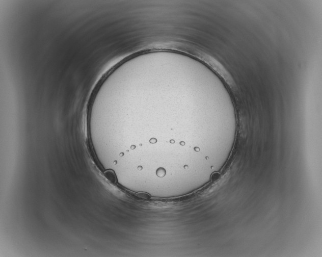 X0000111491036200908041138