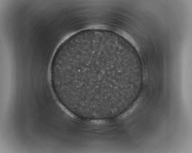 X0000111491037200908041138