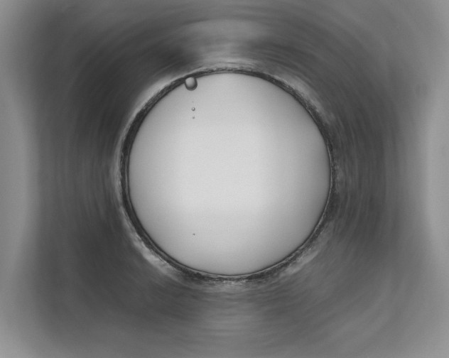X0000111491038200908041138