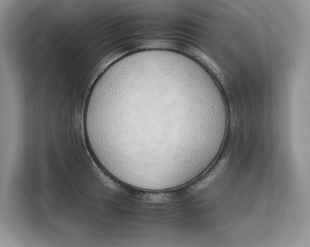 X0000111491041200908041138