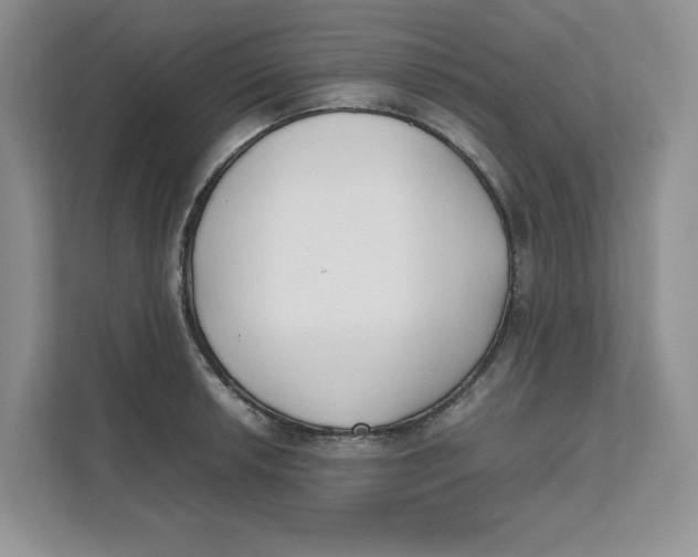 X0000111491042200908041138