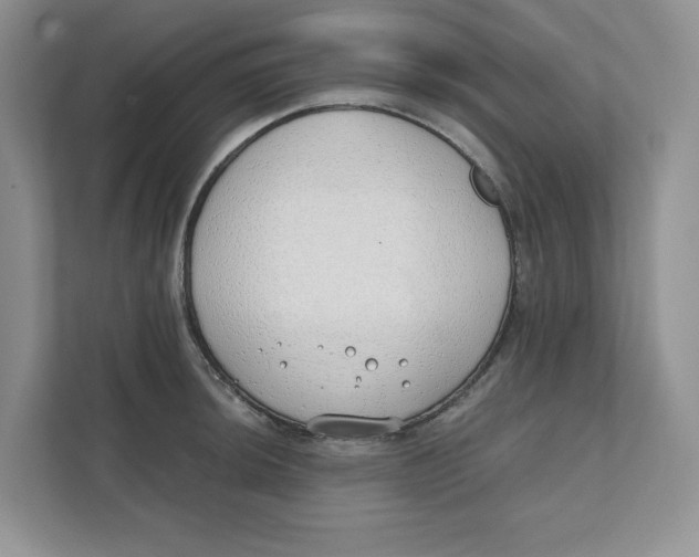 X0000111491044200908041138