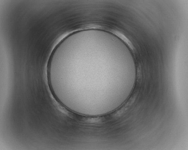 X0000111491047200908041138