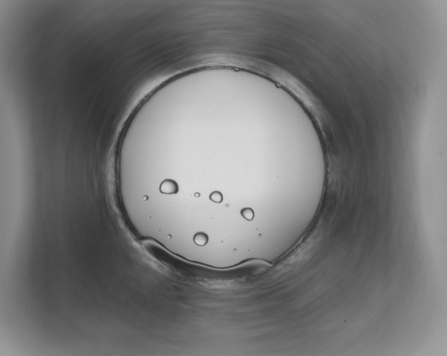 X0000111491048200908041138