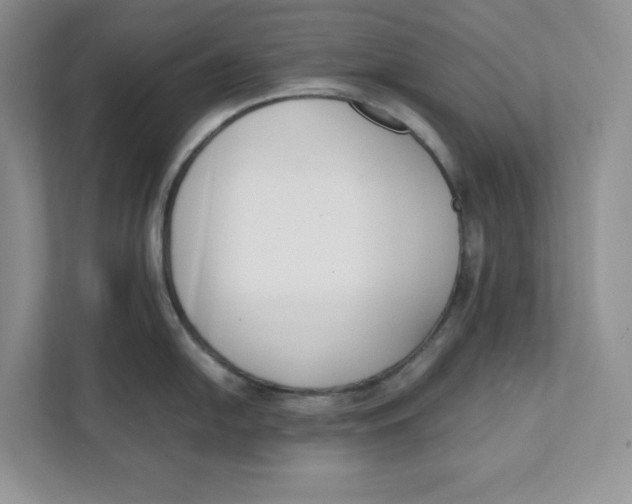 X0000111491054200908041138