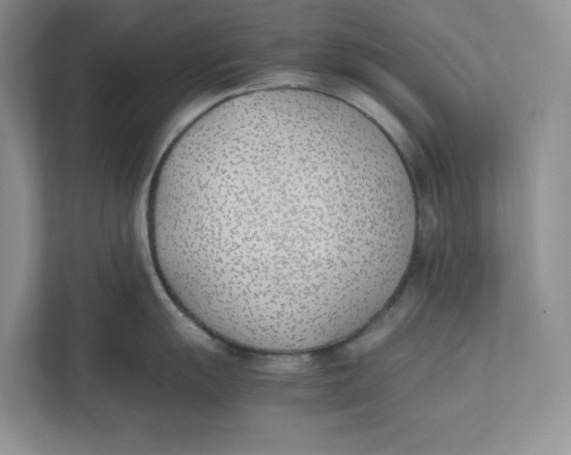 X0000111491055200908041138