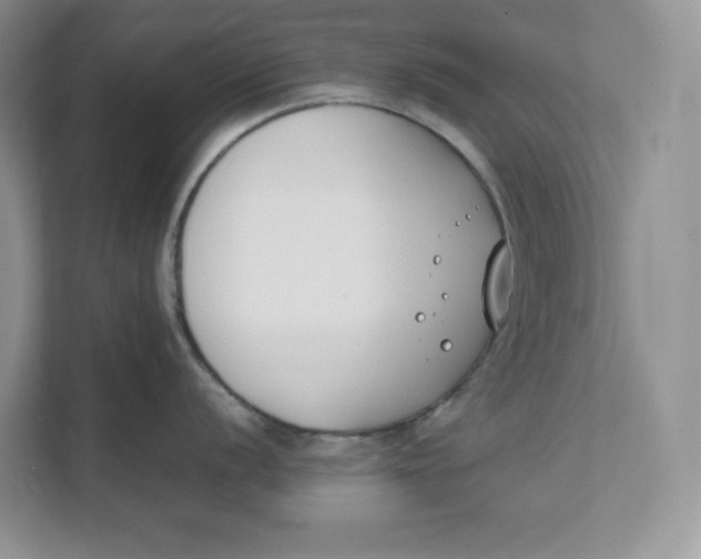 X0000111491056200908041138