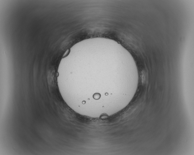 X0000111491059200908041138