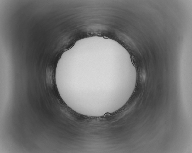 X0000111491060200908041138