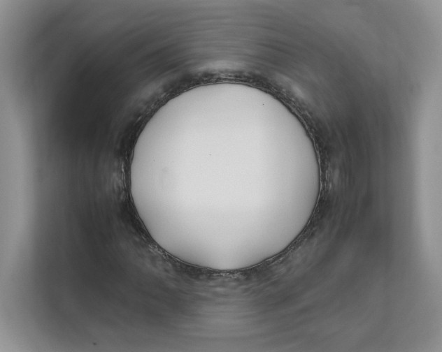 X0000111491062200908041137