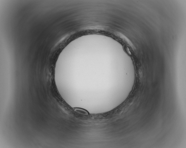 X0000111491064200908041137