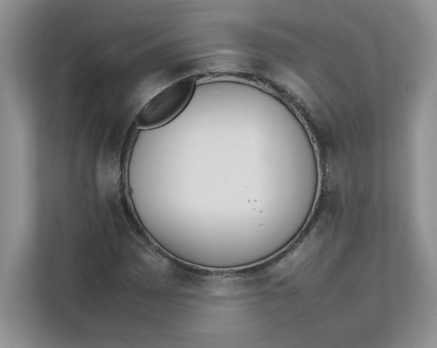 X0000111491065200908041137