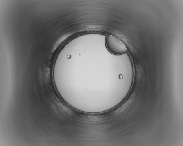X0000111491066200908041137